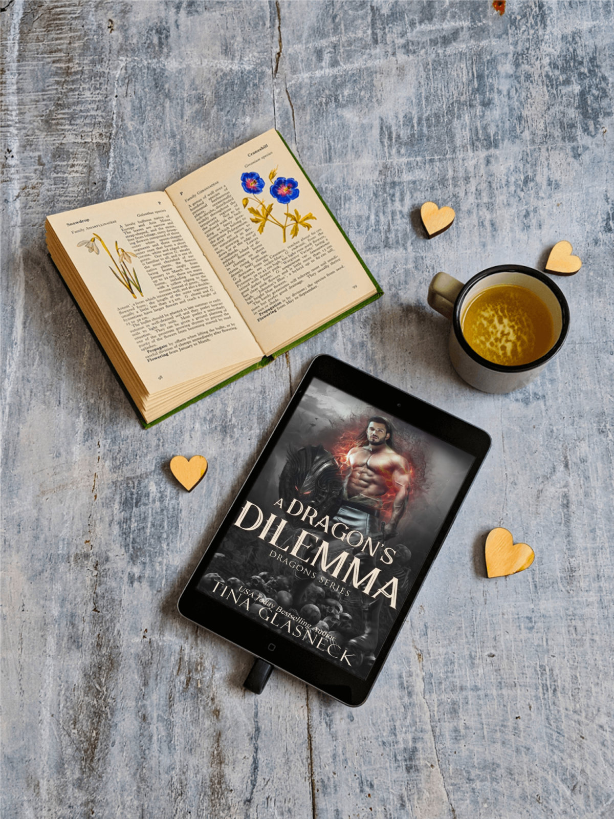 A Dragon's Dilemma (EBOOK)